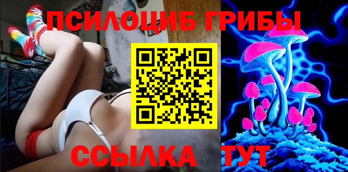 Галлюциногенные грибы Cubensis Тайшет