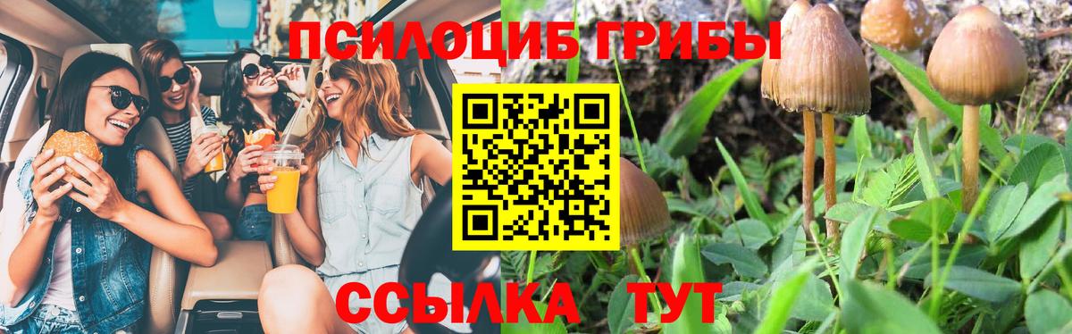 Галлюциногенные грибы Psilocybine cubensis  Галлюциногенные грибы MAGIC MUSHROOMS  купить наркотик  Вход с VPN  Тайшет 